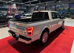 فۆرد F-150